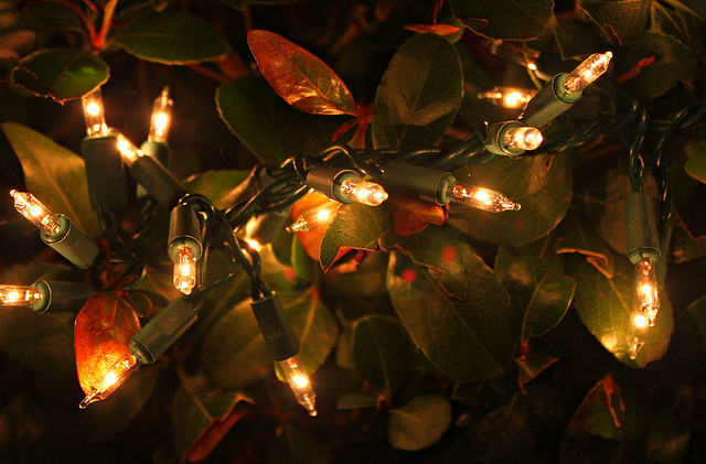 8299373106_4d3e7ac173_z