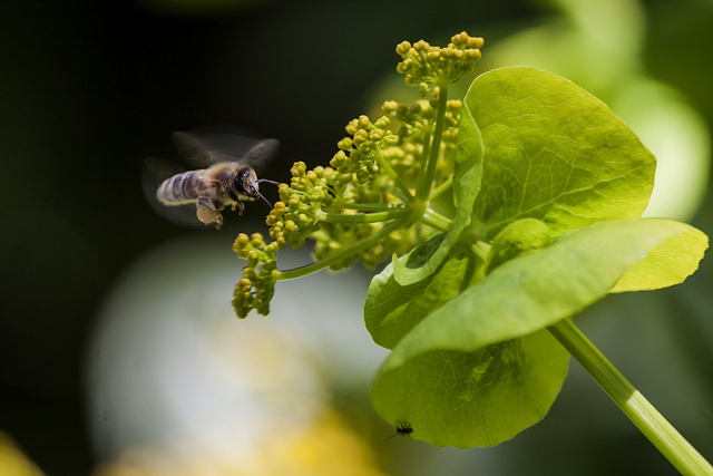 8587966698_f84d735ff5_z